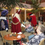 Sinterklaas 2012 (7)