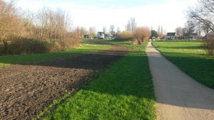 update Liewegje