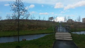 20160207_113259 (Custom)