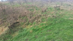 20160207_113546 (Custom)