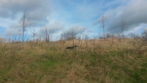 20160207_114325 (Custom)