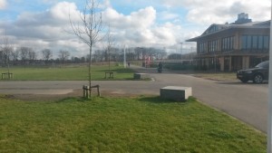 20160207_115608 (Custom)