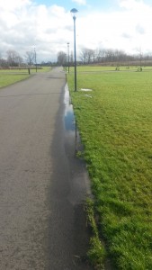 20160207_121801 (Custom)