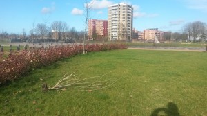 20160207_122303 (Custom)
