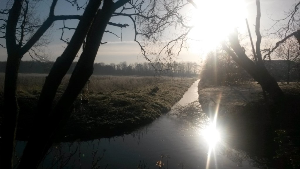 Groen is goud.
