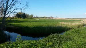 Groene Zoom Zuiderpolder (1)