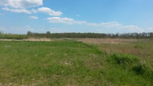 Groene Zoom Zuiderpolder (13)