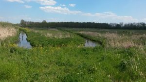 Groene Zoom Zuiderpolder (15)