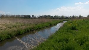 Groene Zoom Zuiderpolder (17)