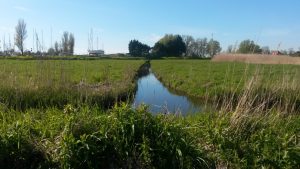 Groene Zoom Zuiderpolder (2)