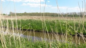 Groene Zoom Zuiderpolder (22)