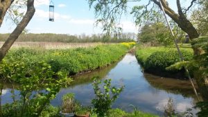 Groene Zoom Zuiderpolder (24)