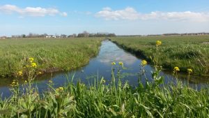 Groene Zoom Zuiderpolder (3)