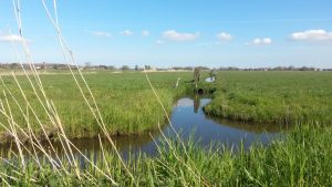 Groene Zoom Zuiderpolder (5)