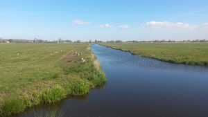 Groene Zoom Zuiderpolder (6)