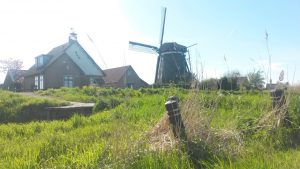 Groene Zoom Zuiderpolder (7)