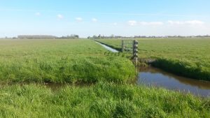 Groene Zoom Zuiderpolder (9)