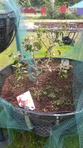 Opendag Groen Groep oost 21-05-2016 (10)