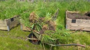 Opendag Groen Groep oost 21-05-2016 (14)