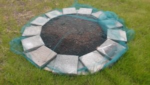 Opendag Groen Groep oost 21-05-2016 (15)
