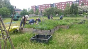 Opendag Groen Groep oost 21-05-2016 (2)