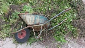 Opendag Groen Groep oost 21-05-2016 (22)