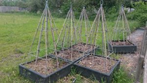Opendag Groen Groep oost 21-05-2016 (23)
