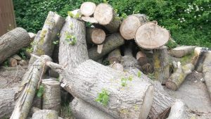 Opendag Groen Groep oost 21-05-2016 (26)