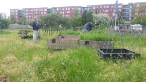 Opendag Groen Groep oost 21-05-2016 (28)