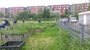 Opendag Groen Groep oost 21-05-2016 (3)