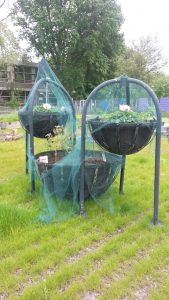 Opendag Groen Groep oost 21-05-2016 (8)