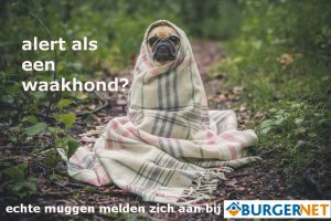 Burgernet Zomercampagne 2016
