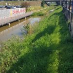 station Haarlem-Spaarnwoude 2019-2020
