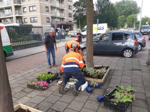 Planten