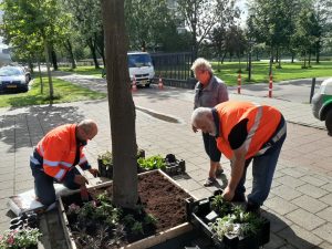 Planten