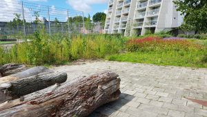 Nieuwsbrief augustus 2020 (2)