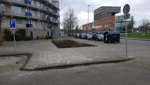 Groene Noiret (2)