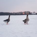 Winterpracht 2021 (12)