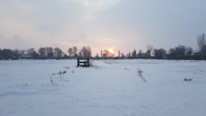 Winterpracht 2021 (13)