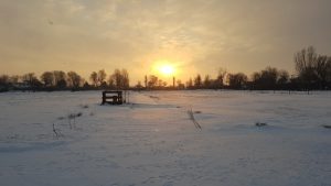 Winterpracht 2021 (15)