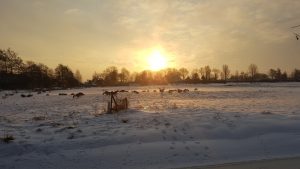 Winterpracht 2021 (16)