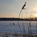 Winterpracht 2021 (17)