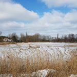 Winterpracht 2021 (2)