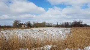 Winterpracht 2021 (2)