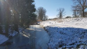 Winterpracht 2021 (20)