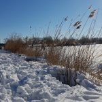 Winterpracht 2021 (26)