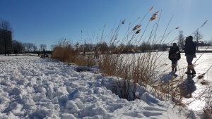 Winterpracht 2021 (26)