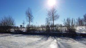 Winterpracht 2021 (30)