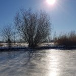 Winterpracht 2021 (34)