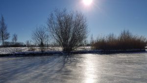Winterpracht 2021 (34)